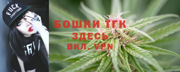 прущий лед Абаза