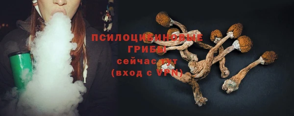 прущий лед Абаза