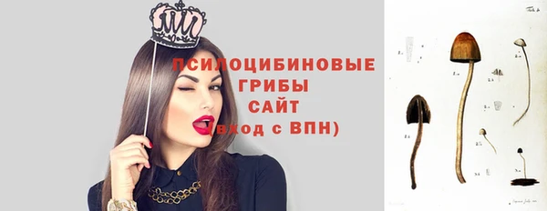 прущий лед Абаза